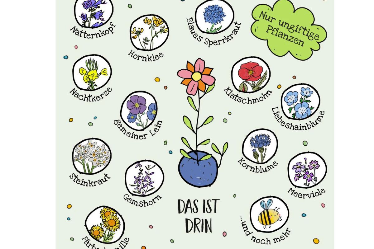 Dose mit 25 Blumenmurmeln für Blumenkinder Wildblumen 2