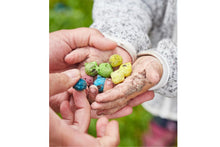 Lade das Bild in den Galerie-Viewer, Dose mit 25 Blumenmurmeln für Blumenkinder Wildblumen