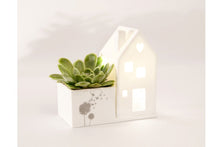 Load the picture into the gallery viewer, Good old friends - Hausgarten Design Pusteblume Kunsthandwerk Unikat2