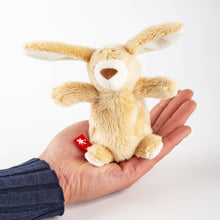 Load the picture into the gallery viewer, Mini Hase Kuscheltier Kuschelserie Sweety sigikid7