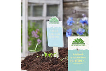 Lade das Bild in den Galerie-Viewer, Saatgut Er liebt mich, er liebt mich nicht, Er liebt mich. Gänseblümchen