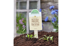 Lade das Bild in den Galerie-Viewer, Saatgut Hat die Blume einen Knick war die Hummel wohl zu Dick2