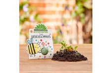 Lade das Bild in den Galerie-Viewer, Timos Bienenschmaus 1 Blumenmurmel für Blumenkinder