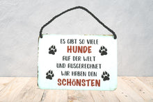 Lade das Bild in den Galerie-Viewer, Deko Blechschild Aufhänger Wanddeko Es gibt so Viele Hunde auf der Welt und ausgerechnet wir haben den Schönsten
