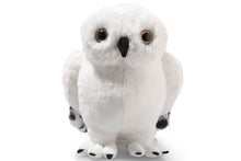 Lade das Bild in den Galerie-Viewer, Disneys Original Haustier Eule Hedwig Steiff Kuschel Figur 21cm&nbsp;
