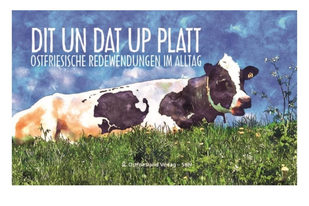 Dit un Dat up Platt Ostfriesische Redewendungen im Alltag Buch