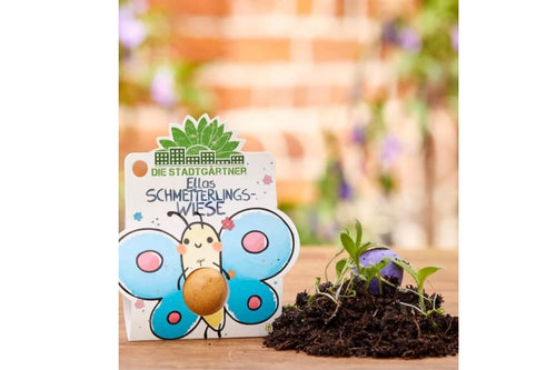 Ellas Schmetterlings Wiese 1 Blumenmurmel für Blumenkinder Wildblumen 
