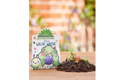 Finns Wilde Wiese 1 Blumenmurmel für Blumenkinder Wildblumen