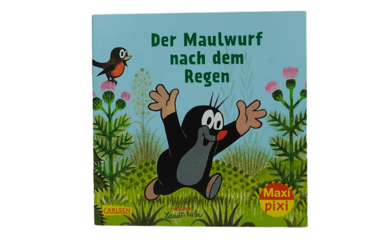 Maxi Pixi Der Maulwurf nach dem Regen Nr. 200 Mein kleines großes Bilderbuch