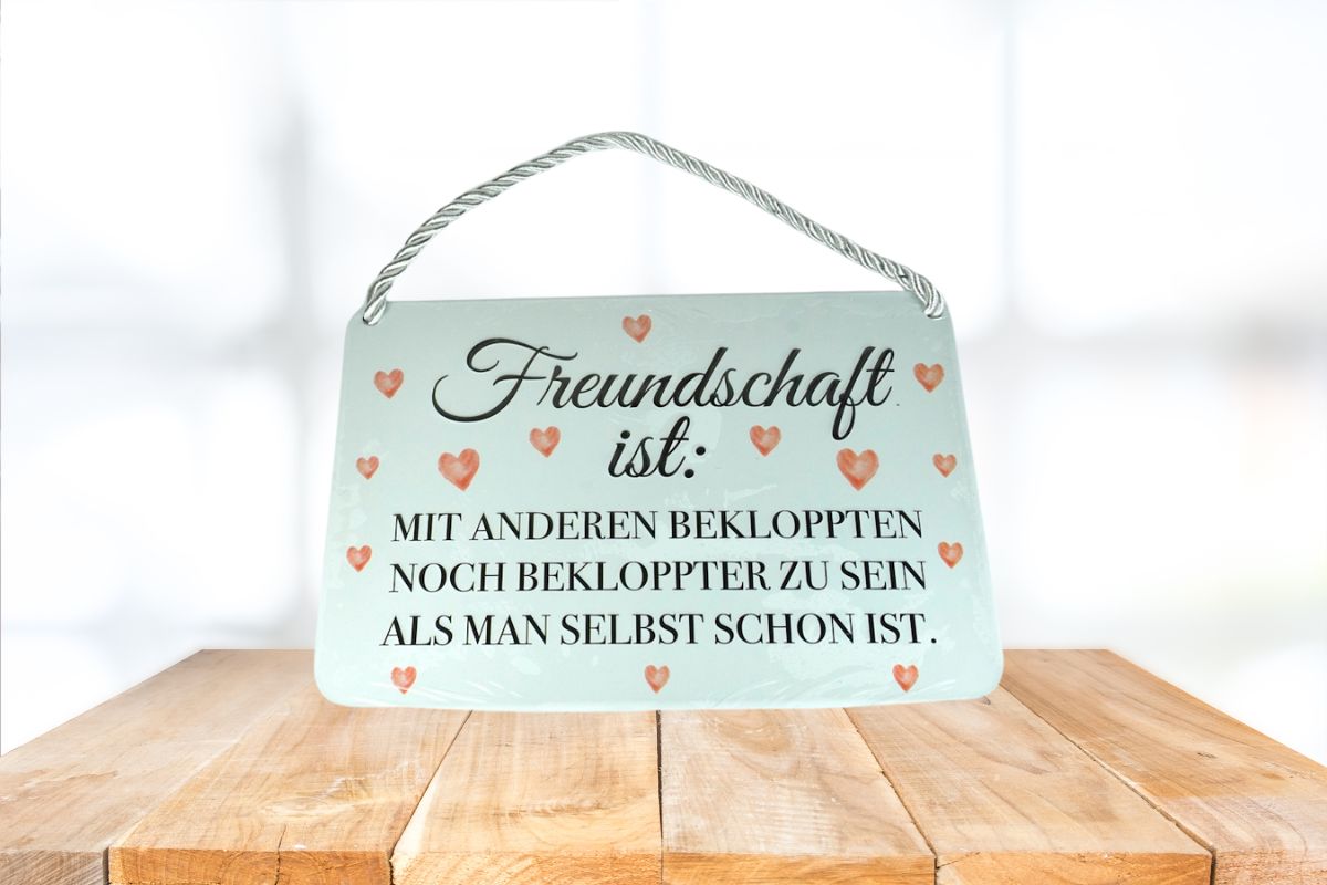 Deko Blechschild Kult Hänger Freundschaft ist: Mit Anderen Bekloppten Noch Bekloppter Zu Sein Als Man Selbst Schon Ist.