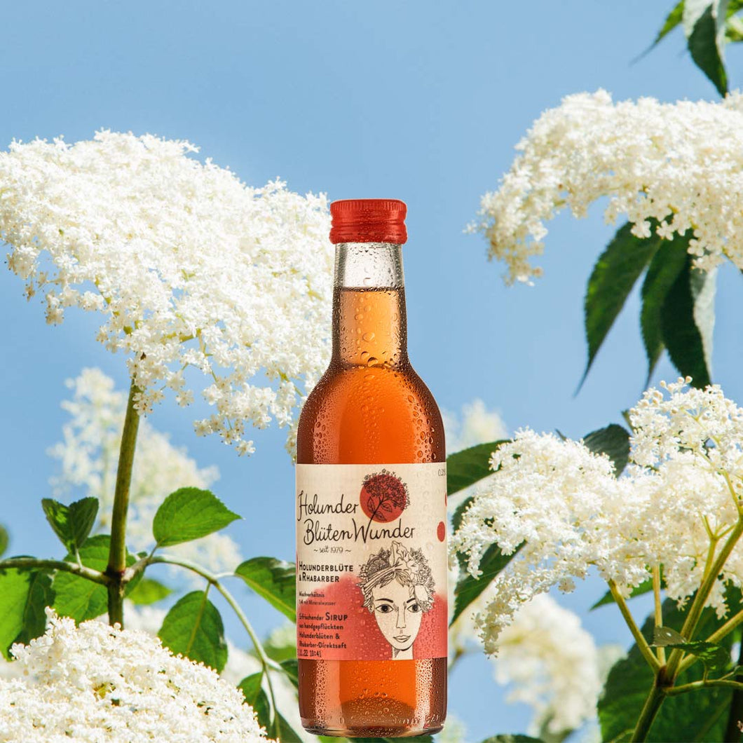 Holunderblütensirup Holunderblüte & Rhabarber